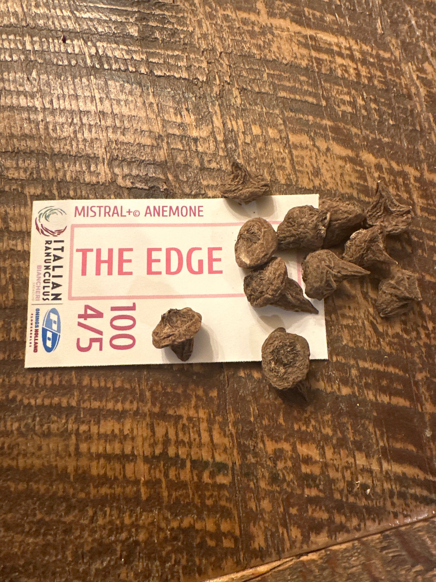 Anemone - Mistral Plus the Edge