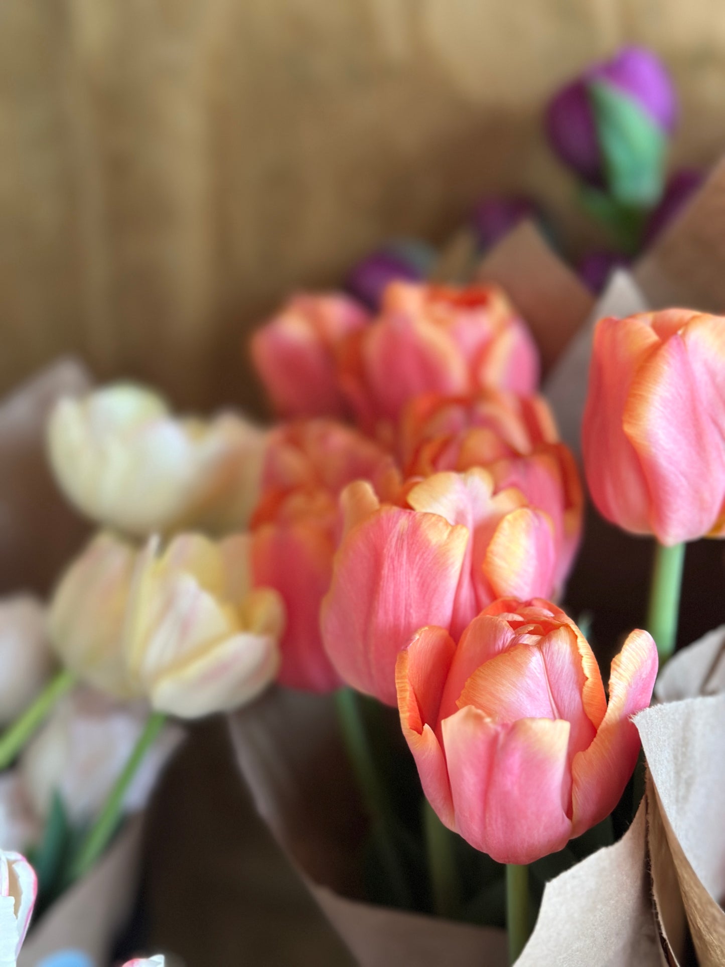 Spring CSA (4 weeks)