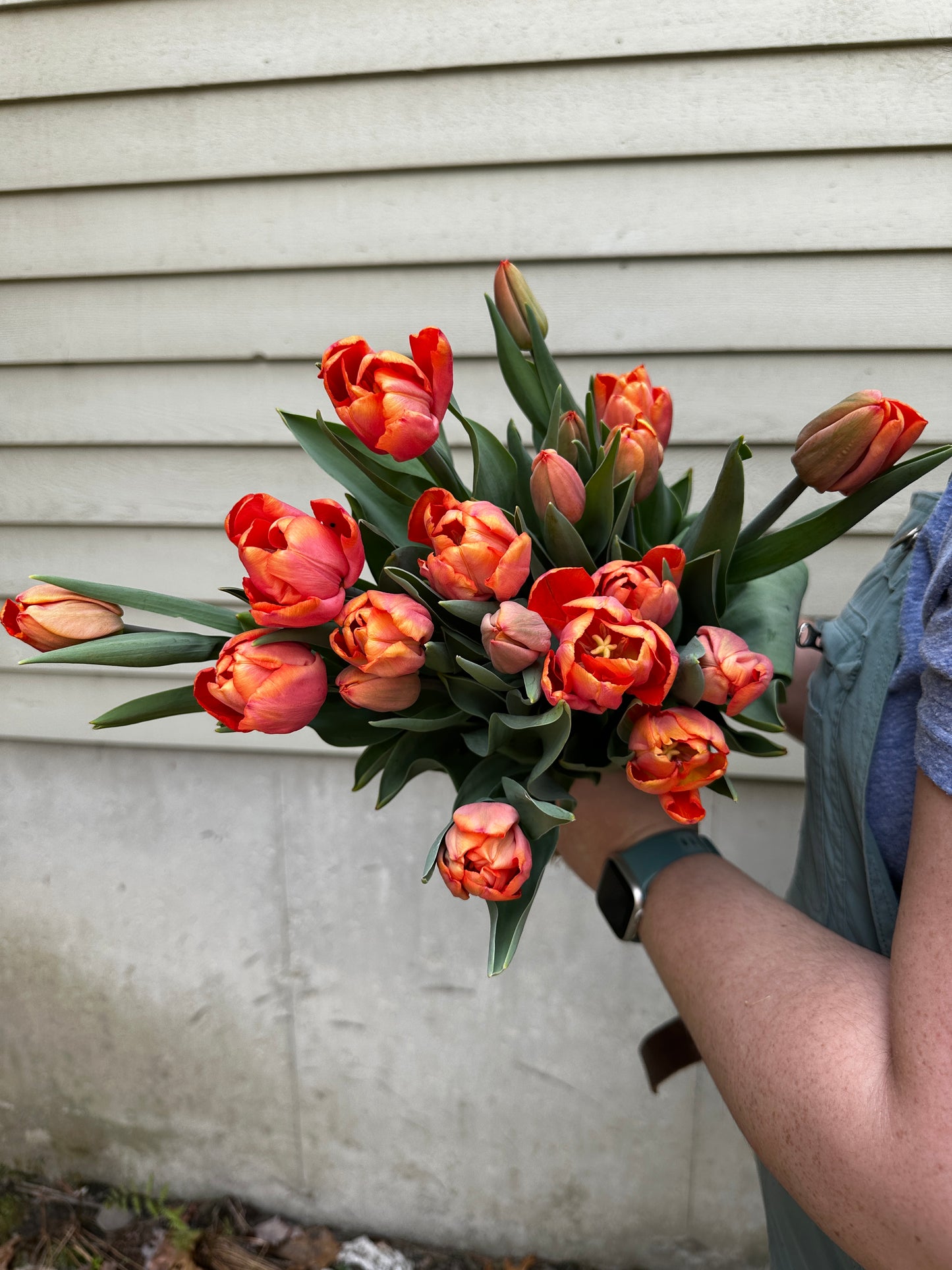 Spring CSA (4 weeks)
