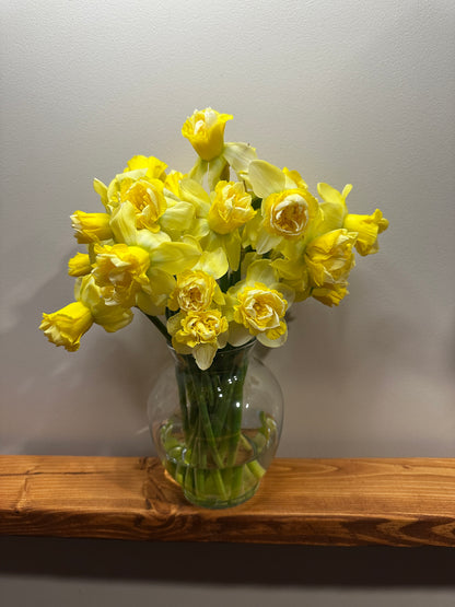 Spring CSA (4 weeks)