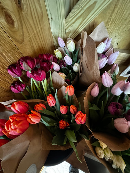 Spring CSA (4 weeks)