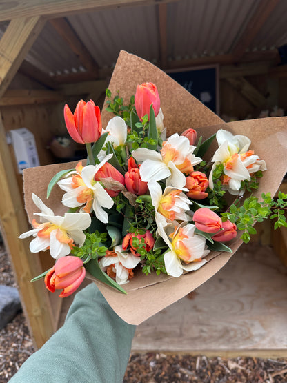 Spring CSA (4 weeks)